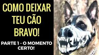 COMO DEIXAR O TEU CÃO BRAVO! (Parte 1: O MOMENTO CERTO!) + Treino de Cão de Guarda