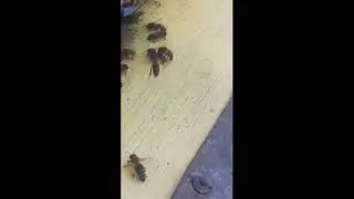 Работа кипит
