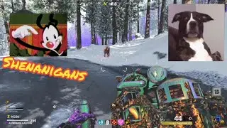 Shenanigans 🤣