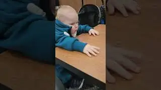 Миша и чизкейк 