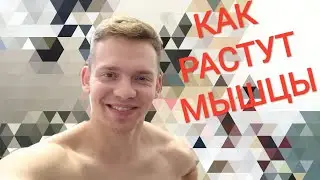 Серия 53. Как растут наши мышцы? Часть 1.