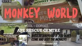 MONKEY WORLD DORSET