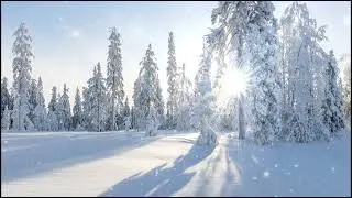 Relaxing music for a restful and relaxing sleep,anti-stress