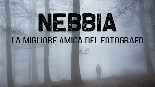 NEBBIA: la migliore amica del FOTOGRAFO. 3 MOTIVI e 1 CONSIGLIO per scattare il BOSCO nella NEBBIA