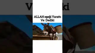Allah' Eşeği Yaratı Dedi ki
