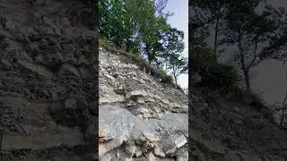 Скалолаз?-нет павлин 😉#animals #video #photography #family #facts #best #mountains #funny #life