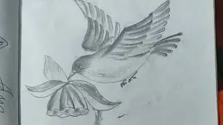 PENCIL STROKE BIRD DRAWING😱😱 ||SKETCH SCENERY🥰 