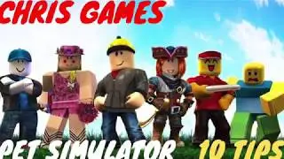 Roblox 10 Pet Simulator Tips