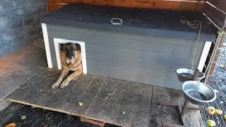 50. Doghouse. Собачья будка 