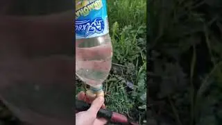 Капельный полив своими руками-очень экономичный способ.
