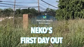 Baby Neko’s “First Day Out” (The Womb) 💙 [Shot & Edited | @QuanKnox] 🎬 