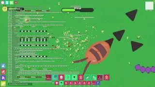 asia wasp after hp buff