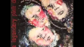 The Legendary Pink Dots ‎-- Please Don't Get Me Wrong