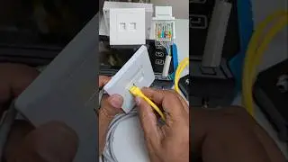 White RJ45 Ethernet Cat 5 6 Modular Connector Network Data Socket 🖥️ #networking #tech