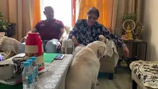 Welcome Home uncle and aunt!❤️