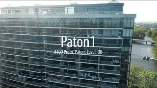 Project Highlight: Il Paton