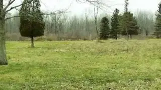 3151.mp4