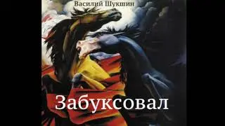 Василий Шукшин. Рассказ 
