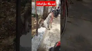 #ytshorts