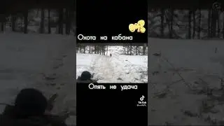 Тик Ток:Охота на кабана😅