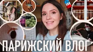 ♥️ПЕРЕЕЗД, БУДУТ ЛИ ЕЩЕ ВЛОГИ ИЗ ПАРИЖА🫣РЕМОНТ И ОРГАНИЗАЦИЯ📦 - ПЕРВЫЕ ДНИ НА НОВОМ МЕСТЕ
