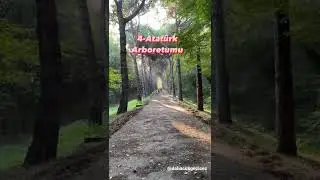 İstanbul’da görmeniz gereken 10 yer Bölüm 1 