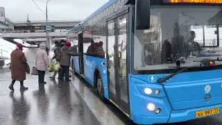 Автобус 11
