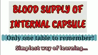 INTERNAL CAPSULE - Part 2/2