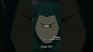 hashirama cell Explained 