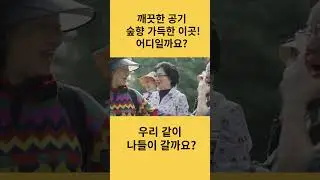 서울시에 이렇게 좋은곳이 있다고? 다함께 즐기는 숲!#shorts#치매예방#치매교육#숲체험#나들이#가족과함께가기좋은곳#봄나들이#숲치유#숲해설#숲체험#서울시숲체험#서울가볼만한곳