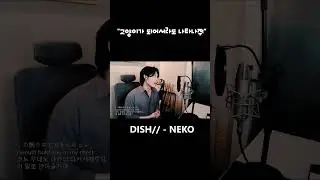 네코 / 猫 (NEKO) - DISH// "고양이가 되어서라도 나타나줘"