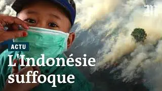 L'Indonésie suffoque : Le deuxième poumons de la Terre brûle