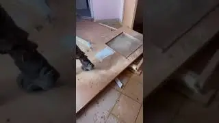after Russian missiles attack  this morning. inside of damaged Kyiv children hospital