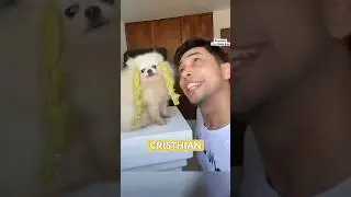 Did you know? 😅🐩 