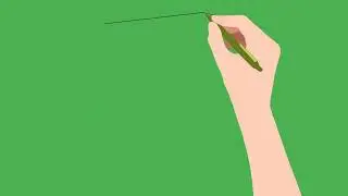 green screen hand drawing animation for educational videos | no copy rights | free video