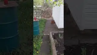 Солнечная дача. Весна.
