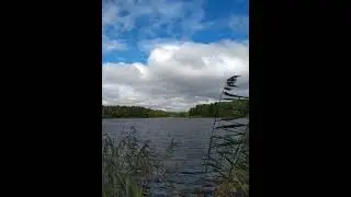 №50 Вхождение в состояние блаженства