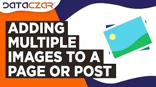 Adding Multiple Images to a Page or Post | Make Your Website More Engaging | Updated October 6, 2022
