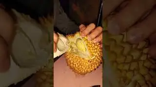 Дуриан. Жизнь на Бали#shorts #indonesia#vlog #video #2023 #travel#trend #рекомендации #youtubeshorts