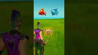 What fish is it? 🤔