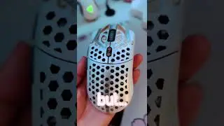 New mouse!