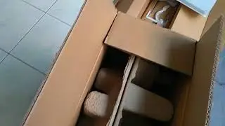 Unboxing Mikrotik DynaDish 5 RBDynadishG-5HPacD