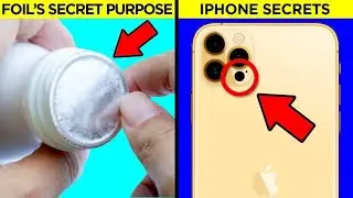 20 Curious Things You Didn’t Know 5 Minutes Ago
