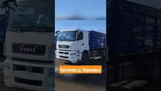 Автопоезд самосвал Зерновоз. Состав Камаз 65207+ Прицеп 3-х осный.