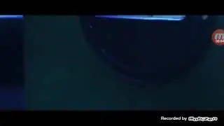 Zueira sem limitis