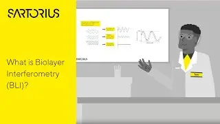 Biolayer Interferometry (BLI) | The Biophysics behind the BLI Technology, Explained
