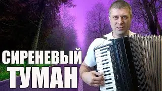Маркин - Сиреневый туман на аккордеоне (аккордеон кавер)