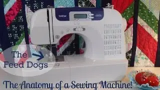 Learn To Sew - Quick Snip - The Feed Dogs