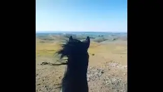 Сыйластык