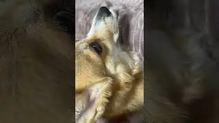 Икота-икота, иди на Федота 😁 